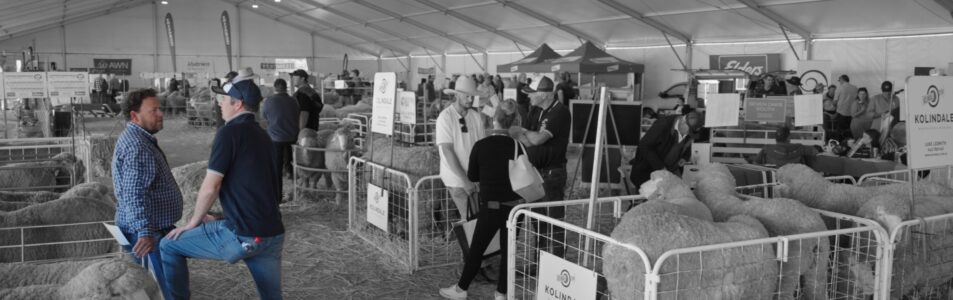 Exhibition Stand