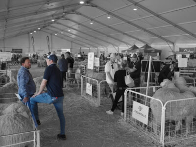 Event Exhibition