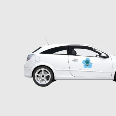 Vehicle Magnet