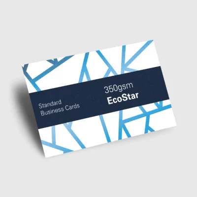350gsm Recycled Standard Business Card